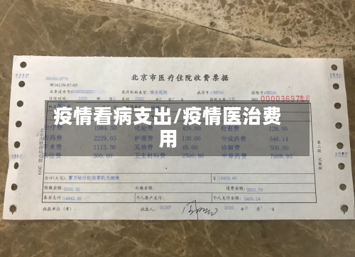 疫情看病支出/疫情医治费用-第3张图片