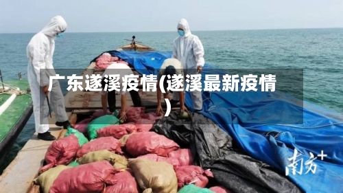 广东遂溪疫情(遂溪最新疫情)-第2张图片