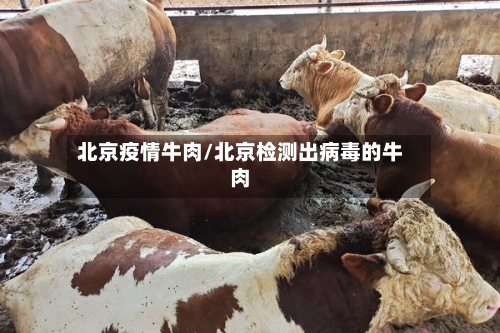 北京疫情牛肉/北京检测出病毒的牛肉-第2张图片