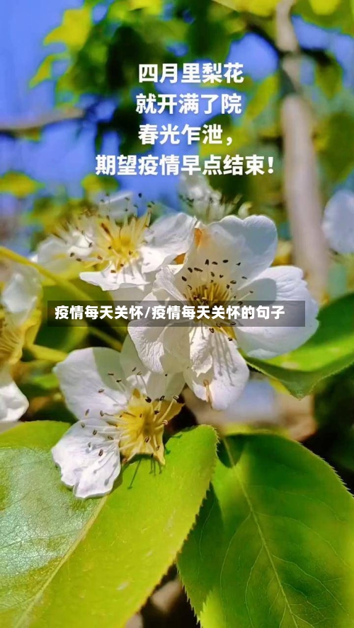 疫情每天关怀/疫情每天关怀的句子-第1张图片
