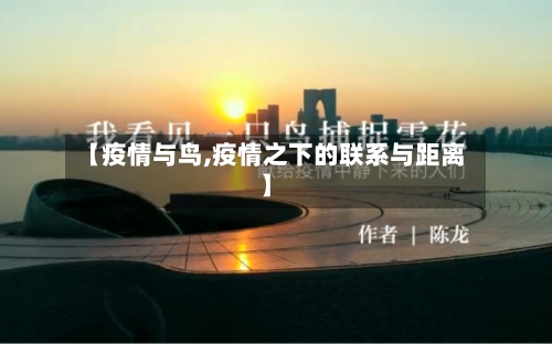 【疫情与鸟,疫情之下的联系与距离】-第1张图片