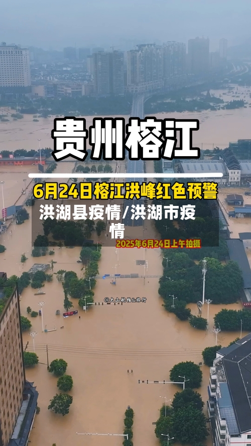 洪湖县疫情/洪湖市疫情-第3张图片