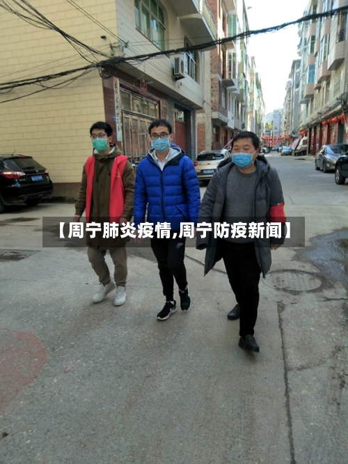 【周宁肺炎疫情,周宁防疫新闻】-第2张图片