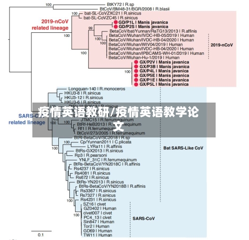 疫情英语教研/疫情英语教学论文-第1张图片
