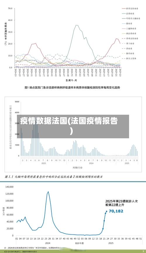 疫情数据法国(法国疫情报告)-第2张图片
