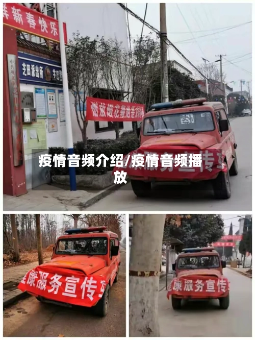 疫情音频介绍/疫情音频播放-第2张图片