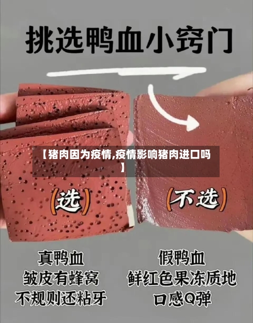 【猪肉因为疫情,疫情影响猪肉进口吗】-第2张图片