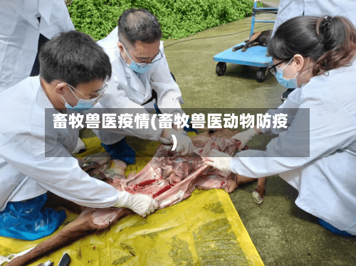 畜牧兽医疫情(畜牧兽医动物防疫)-第2张图片