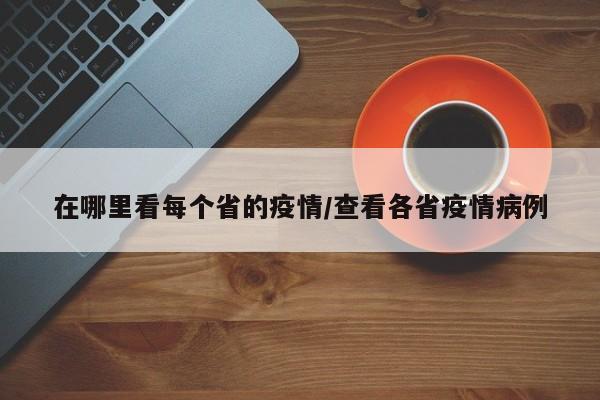 在哪里看每个省的疫情/查看各省疫情病例