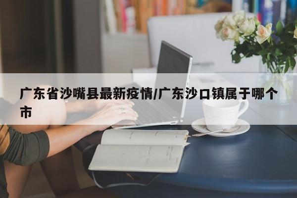 广东省沙嘴县最新疫情/广东沙口镇属于哪个市