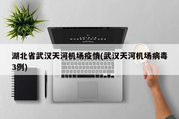 湖北省武汉天河机场疫情(武汉天河机场病毒3例)