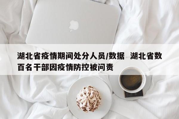 湖北省疫情期间处分人员/数据 湖北省数百名干部因疫情防控被问责