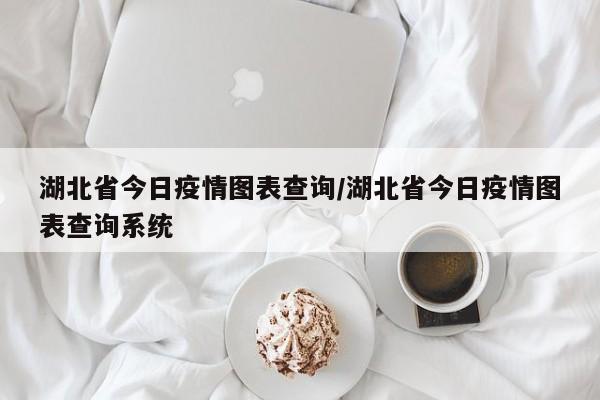 湖北省今日疫情图表查询/湖北省今日疫情图表查询系统