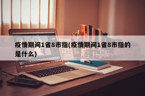 疫情期间1省8市指(疫情期间1省8市指的是什么)