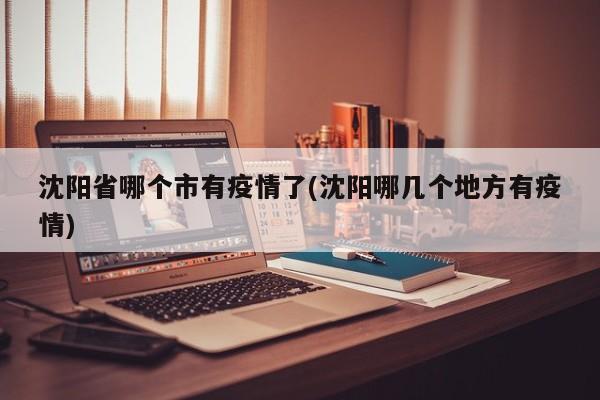 沈阳省哪个市有疫情了(沈阳哪几个地方有疫情)