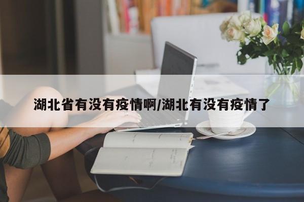 湖北省有没有疫情啊/湖北有没有疫情了