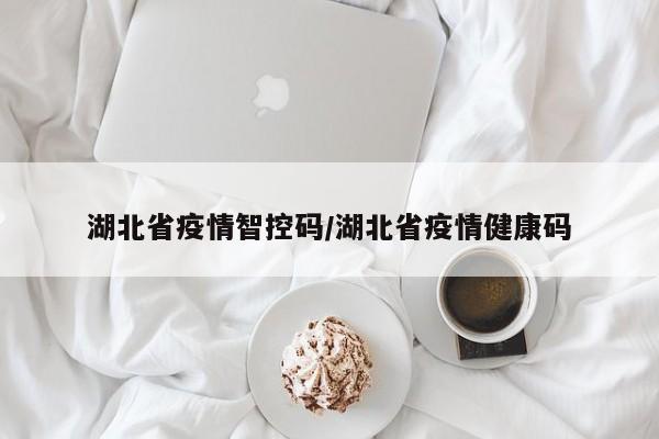 湖北省疫情智控码/湖北省疫情健康码