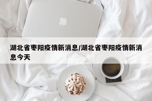 湖北省枣阳疫情新消息/湖北省枣阳疫情新消息今天