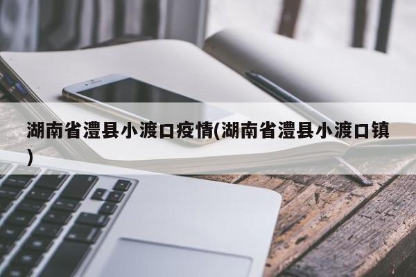 湖南省澧县小渡口疫情(湖南省澧县小渡口镇)