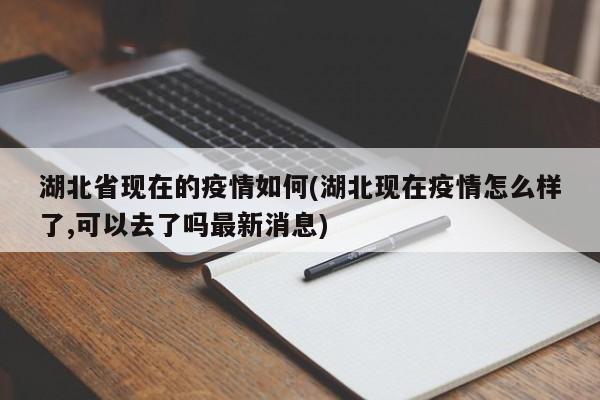 湖北省现在的疫情如何(湖北现在疫情怎么样了,可以去了吗最新消息)