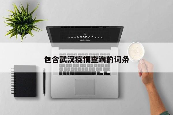 包含武汉疫情查询的词条
