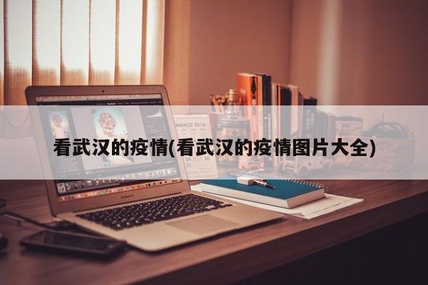 看武汉的疫情(看武汉的疫情图片大全)